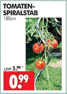 TOMATEN-SPIRALSTAB