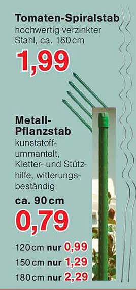 Tomaten-Spiralstab