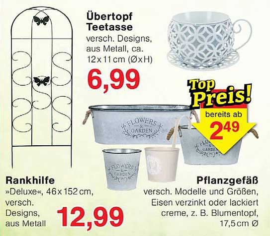 Übertopf Teetasse