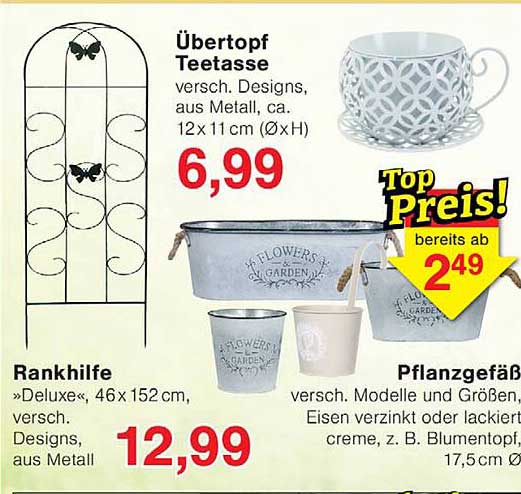 Übertopf Teetasse