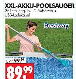 XXL-AKKU-POOLSAUGER