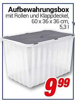 Aufbewahrungsbox mit Rollen und Klappdeckel, 60 x 36 x 36 cm, 5,3 l
