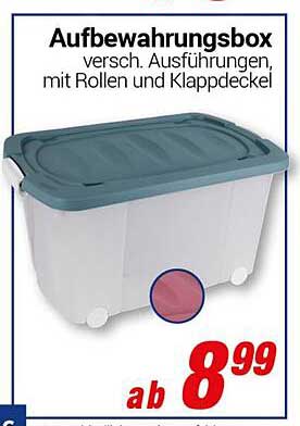 Aufbewahrungsbox, verschiedene Ausführungen, mit Rollen und Klappendel