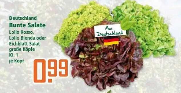 Bunte Salate - Lollo Rosso, Lollo Bionda oder Eichblatt-Salat, große Köpfe Kl. 1 je Kopf