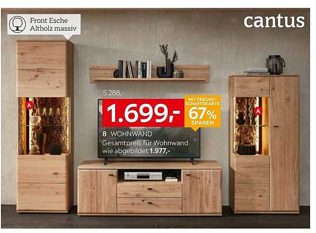 cantus Wohnwand aus Front Esche Altholz massiv
