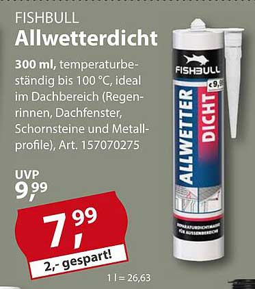 FISHBULL Allwettersicht – 300 ml für den perfekten Dachschutz