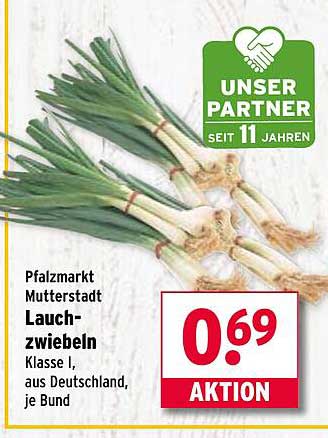 Lauchzwiebeln Klasse I, aus Deutschland, je Bund