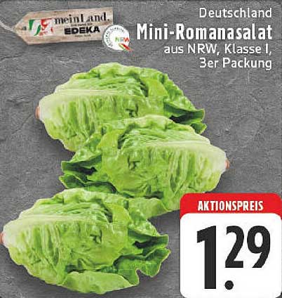 Mini-Romanasalat aus NRW, Klasse I, 3er Packung