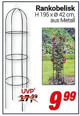 Rankobelisk H 195 x Ø 42 cm, aus Metall