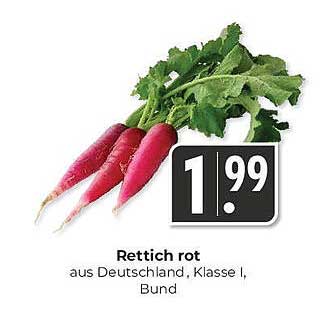 Rettich rot aus Deutschland, Klasse I, Bund