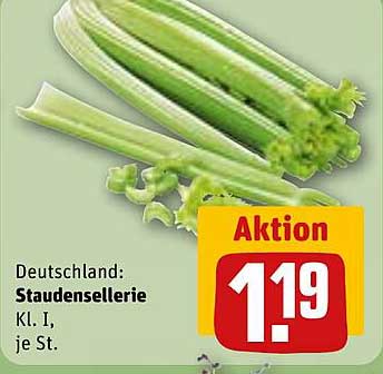 Staudensellerie Kl. I, je St.