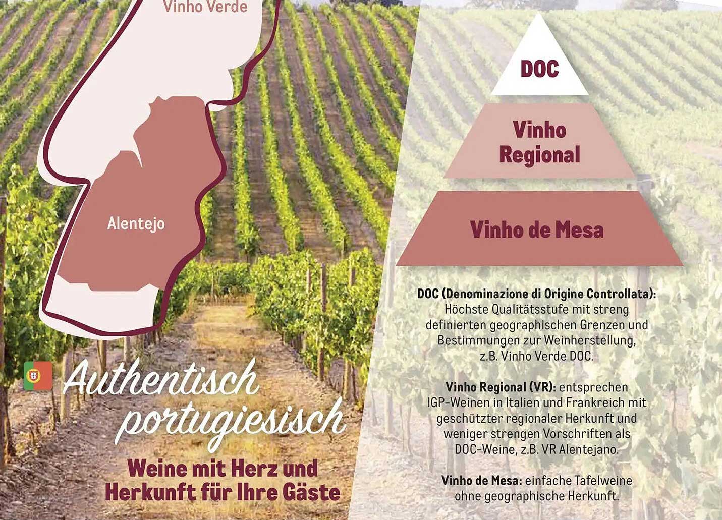 Authentisch portugiesisch: Weine mit Herz und Herkunft für Ihre Gäste