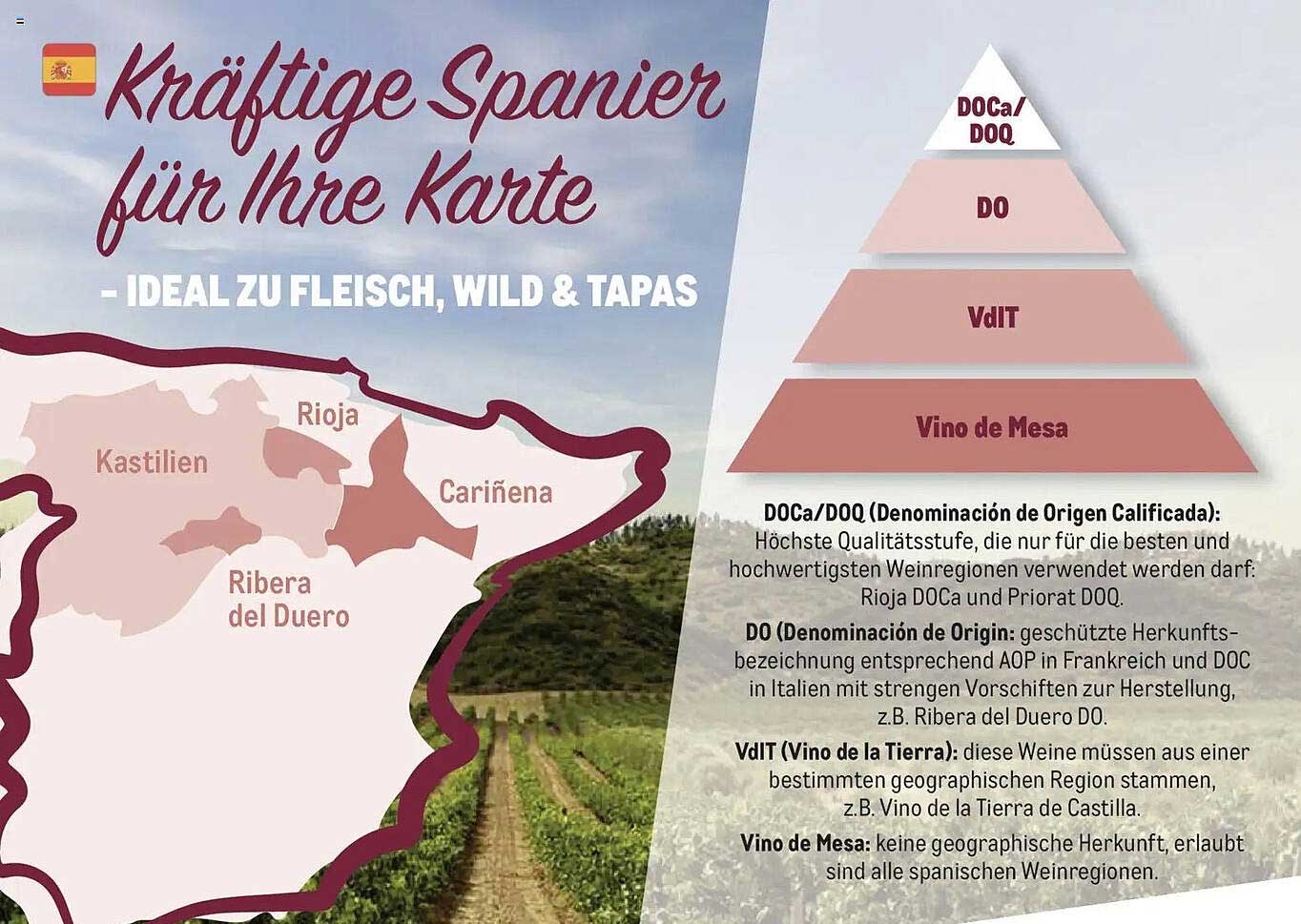 Kraftvolle Spanier für Ihre Karte - Ideal zu Fleisch, Wild & Tapas