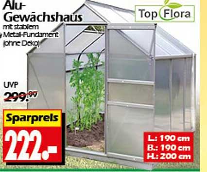 Alu-Gewächshaus mit stabilem Metal-Fundament