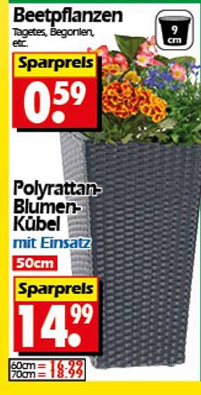 Beetpflanzen: Tagetes, Begonien u.v.m.
