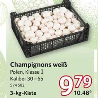 Champignons Weiß - Polen, Klasse I, 3-kg-Kiste