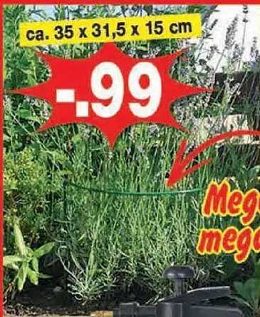 Grüner Gartenfreund: Hochwertige Pflanzbox für Ihren Garten