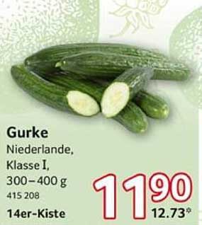 Gurke Niederlande, Klasse I, 300-400 g, 14er-Kiste