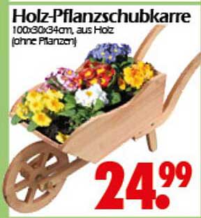 Holz-Pflanzschubkarre 100x30x34cm, aus Holz (ohne Pflanzen)