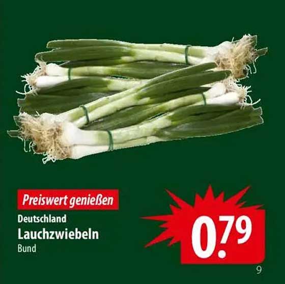 Lauchzwiebeln Bund aus Deutschland