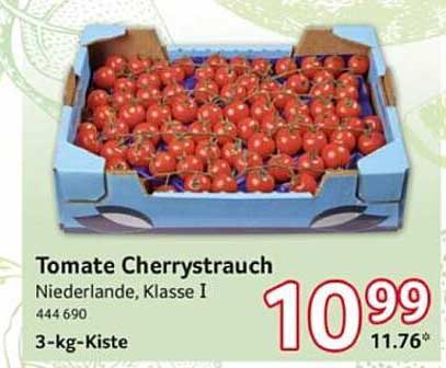 Tomate Cherrystrauch Niederlande, Klasse I