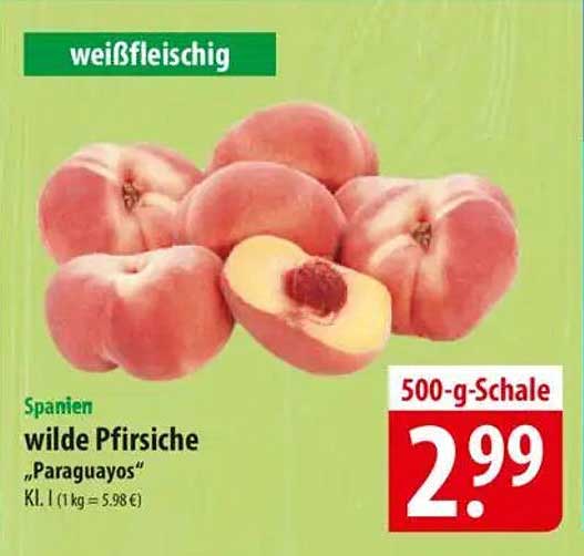Wilde Pfirsiche "Paraguayos" 500-g-Schale
