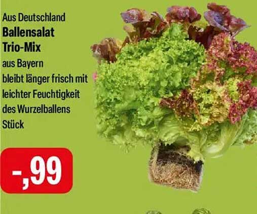 Ballensalat Trio-Mix aus Deutschland