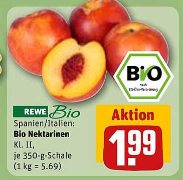 Bio Nektarinen Kl. II aus Spanien/Italien