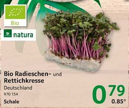 Bio Radieschen- und Rettikresse