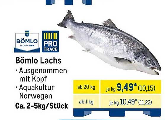 Bömlo Lachs - Ausgenommen mit Kopf, Aquakultur Norwegen