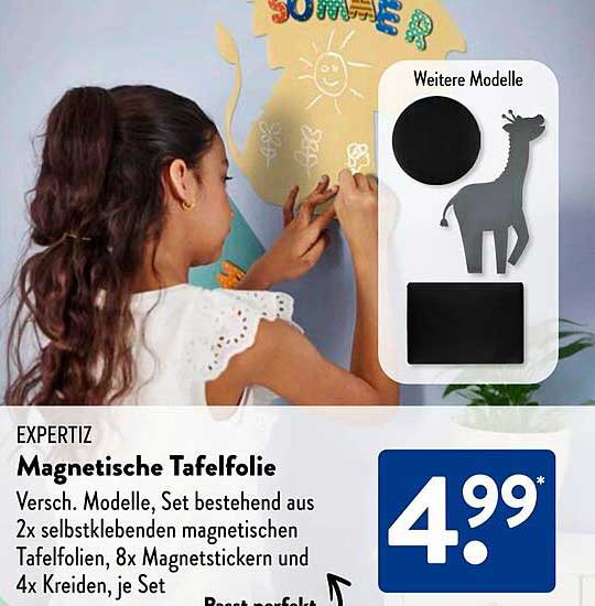 EXPERTIZ Magnetische Tafelfolie
