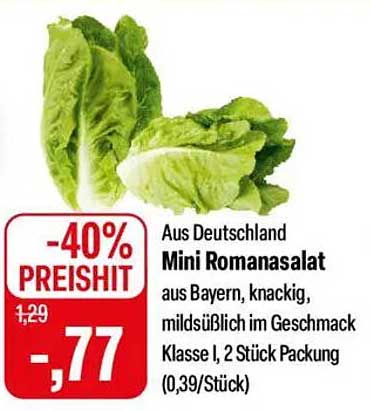 Mini Romanasalat aus Deutschland, 2 Stück Packung