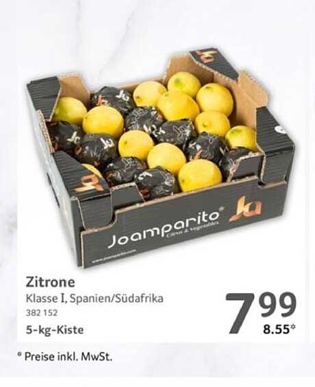 Zitronen, Klasse I, Spanien/Südafrika - 5-kg-Kiste