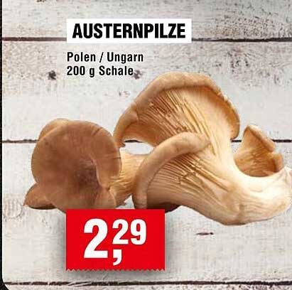AUSTERNPILZE