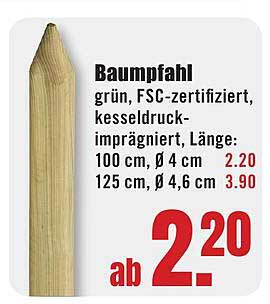 Baumpfahl grün, FSC-zertifiziert, kesseldruck-imprägniert, Länge: 100 cm, Ø 4 cm 125 cm, Ø 4,6 cm