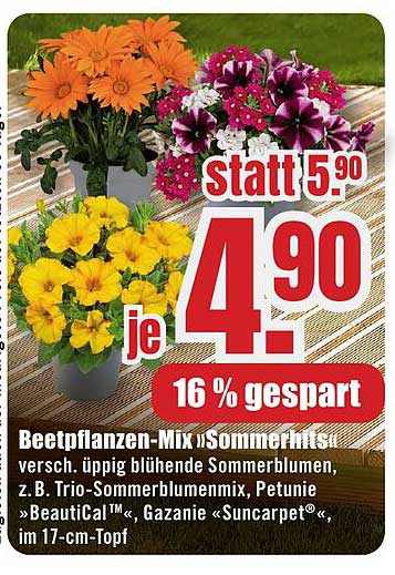 Beetpflanzen-Mix »Sommerhits«