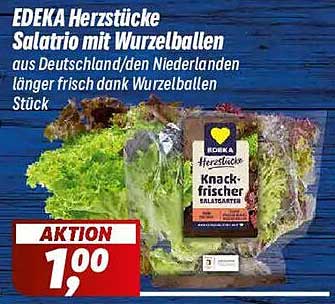 EDEKA Herzstücke Salatrio mit Wurzelballen