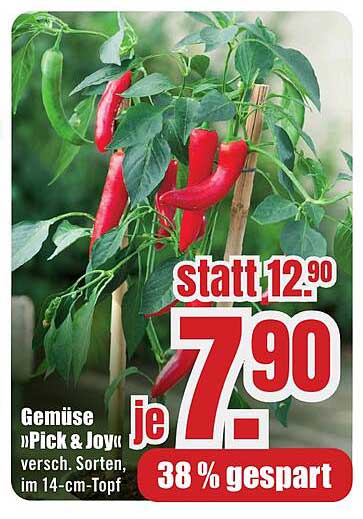 gemüse »Pick & Joy« versch. Sorten, im 14-cm-Topf