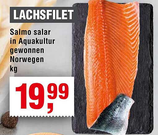 LACHSFILET Salmo salar in Aquakultur gewonnen Norwegen kg