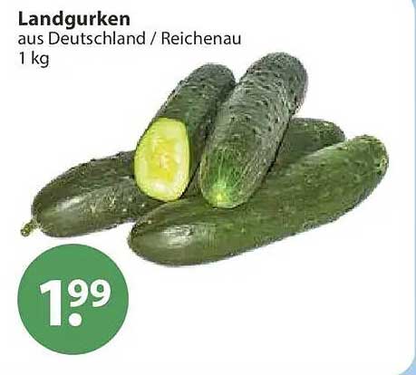 Landgurken