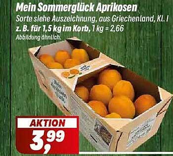 Mein Sommerglück Aprikosen