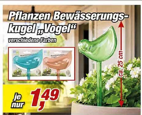 Pflanzen Bewässerungs-kugel „Vogel“