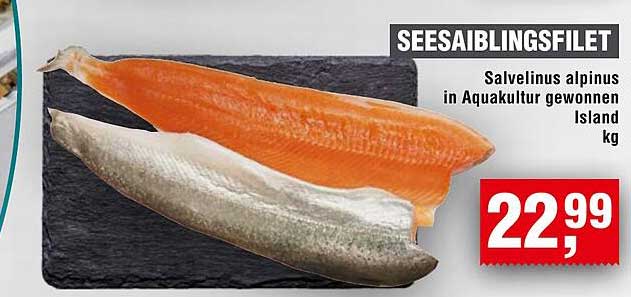 SEESAIBLINGSFILET