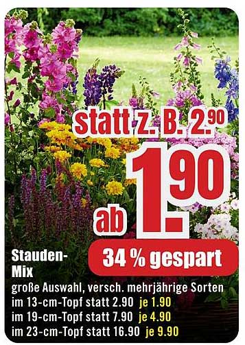 Stauden-Mix große Auswahl, versch. mehrjährige Sorten