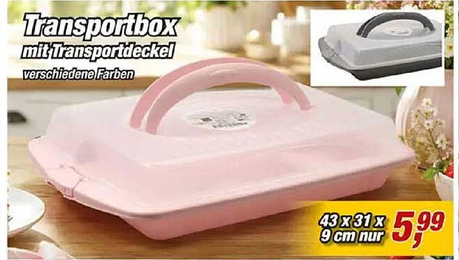Transportbox mit Transportdeckel
