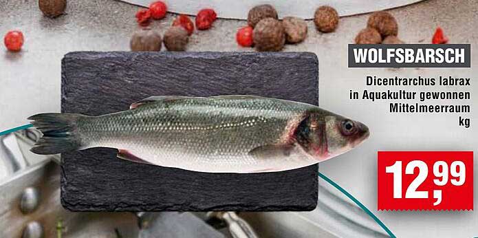 WOLFSBARSCH Dicentrarchus labrax in Aquakultur gewonnen Mittelmeerraum kg