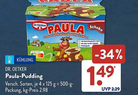 Dr. Oetker Paula-Pudding Schoko, 500 g