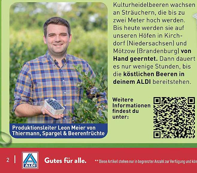 Frische Kulturheidelbeeren – Handgeerntete Köstlichkeiten