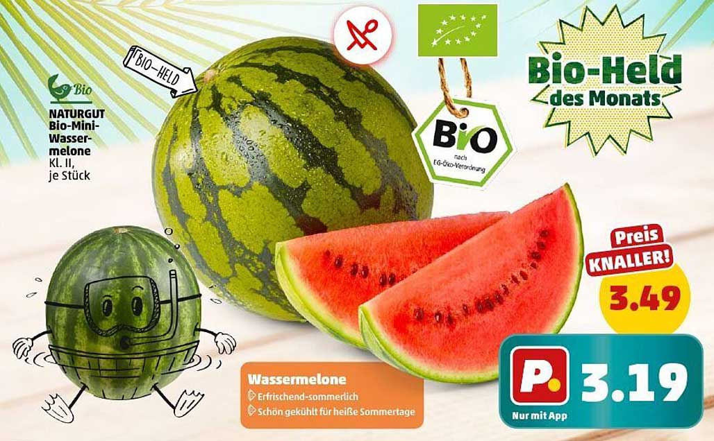 NATURGUT Bio-Mini-Wassermelone Kl. II, je Stück