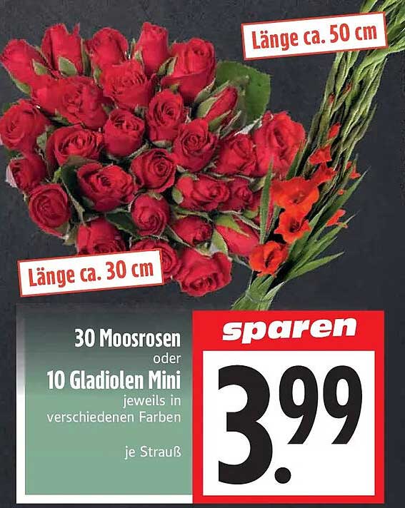 30 Moosrosen oder 10 Gladiolen Mini jeweils in verschiedenen Farben je Strauß